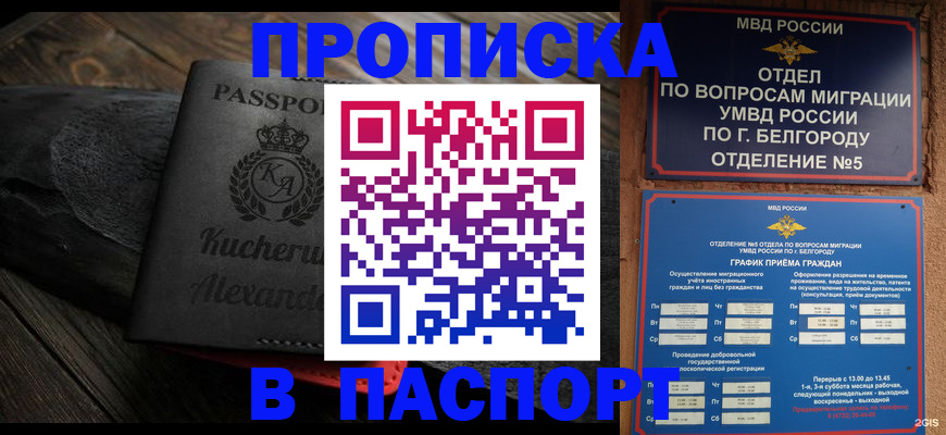прописка 2025 в Цивильске
